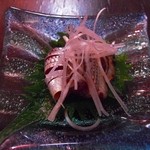 心粋厨房 獬 - 2013/01/12のつきだし１（こはだの岩のり和え）