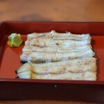 Unagi Fujikawa - 