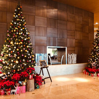 中国料理 四川 - 