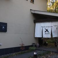 エルルカン・ビス - 