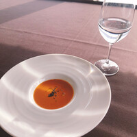 XEX TOKYO / Salvatore Cuomo Bros. - 