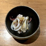 ドンブラボー - 槍烏賊