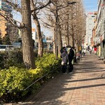 らぁめん 山と樹 - 