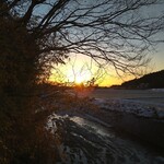 タイ料理 メーパオ - 