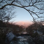 タイ料理 メーパオ - 