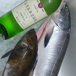 バル３６９ - 三陸直送の魚と岩手のワインです