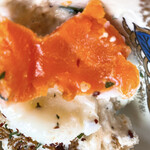 酒場ニホレモ - 