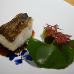 馳走 啐啄一十  - 「黒鯥(静岡県駿河湾産サスエ前田魚店)の
      ふっくら炭火焼き、炭火炙り銀杏&炭火炙り零余子」