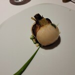 レフェルヴェソンス - 