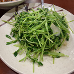 中国料理 金春新館 - この青菜炒めのシャキッとしたら仕上がりは素敵。