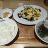 れんげ食堂 Toshu 船堀店