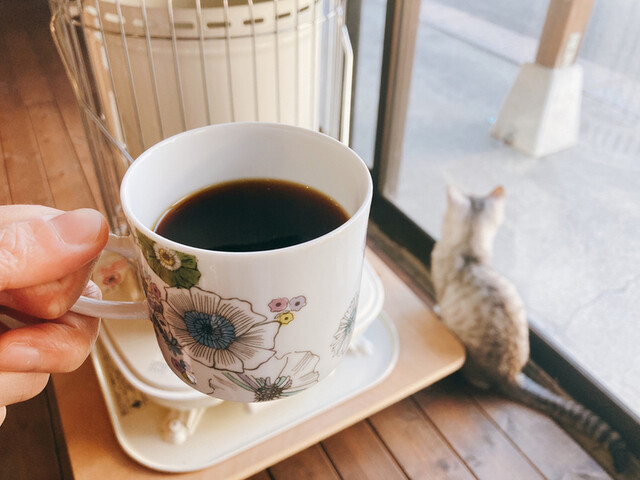 珈琲・クラフト こはく - 大和町その他（カフェ）の写真