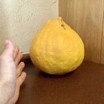 ジャム cafe 可鈴 - 【おまけ】デカレモン伝説！(※本当に本物のレモンです)