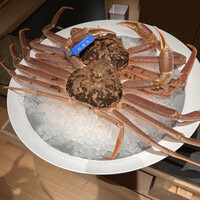 かにじぇんぬ 銀座 - 