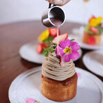 お茶とお花とモンブラン プランツ - 