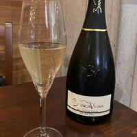 セルサルサーレ - 