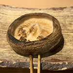 おみ乃 - ・どんこ