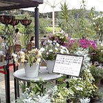 少し入ったデッキ