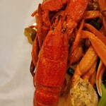 GOLDEN CRAB - 