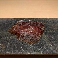 パルコ フィエラ - 