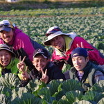 Oyasai Bisutoro Shiawase - 新鮮なお野菜を分けてくださる愛知県の服部農園の皆さん