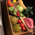 オッジ ダルマット - 