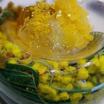 ラ・ヴァガボンド - ミモザ