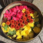 三燈舎 - 本日のフローティングフラワー♡