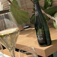 マンサルヴァ - 