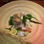 和こう - 真鯛、寒ブリ、ハーブ鯖など季節のお刺身