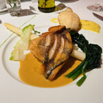 ル・クープル - メバル、オマール海老のソース、ターサイ、牡蠣のフリット、ホワイトアスパラ