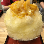 ひみつ堂 - 御浜レモンのみ