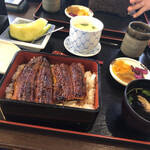 うな吉 - レディース定食