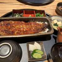 うなぎ四代目菊川 ミッドランドスクエア 名古屋本店 - 