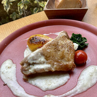 W Yokohama The Wine Hall - 鶏ソテー　初ゆずクリーム
