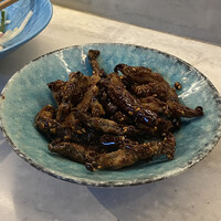 CINA New Modern Chinese - 