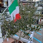 オリーブの丘 - 