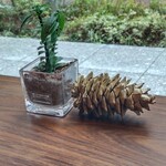 HOPPERS - プチグリーン