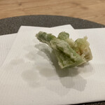 てんぷら 一心 - ⒊タラの芽〜山形産、栽培品。