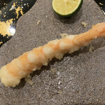 てんぷら 一心 - ⒓熊本産白姫海老(バナメイエビ) 業者に勧められ使って見ていると。 車海老と比べてはいけないが、ブラックタイガーレベルの味とコシ