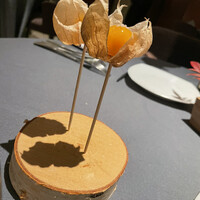 プレヴナンス - 