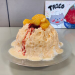 TRICO - 伊予柑ラズベリー