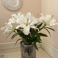 ラ ポルト -  ラ ポルト -