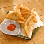Kou Chikin - サモサ風カレーポテトの揚げ餃子