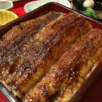 炭焼 うな富士 有楽町店 - 