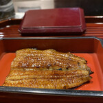 Kantou Fuu Unagi Umenoi - 