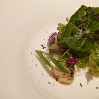 ロドラント ミノルナキジン - 