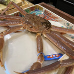 うを徳 - 鳥取県隠岐天祐丸の松葉ガニ