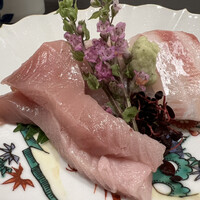 しゅん逢 紗々木 - 