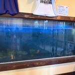 川魚・郷土旬菜 うおとし - 生け簀